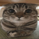 avatar सौम्य