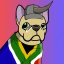projectrhinodoggies