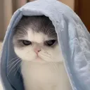 0xjaju