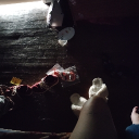 avatar 𐔌՞. .՞𐦯