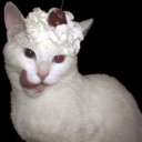 avatar CC