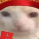 nghiadz