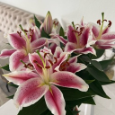 avatar 𝐨𝐝𝐞𝐬𝐬𝐚