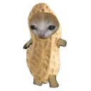 orplo