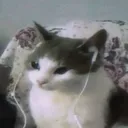 kewkartik
