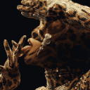 avatar Frosty Maximoff