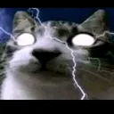 _.gatoinsano_. avatar