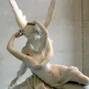 fox.catholicus