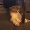 Аватар daniilytj