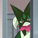 n00py