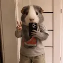 sharkesz