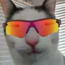jasonmrip
