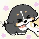 tooyihao