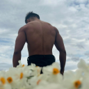Cube's Avatar