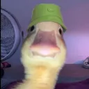 ozzya75