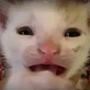 admama