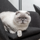 avatar RSG | AspariaTR | 24