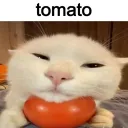 bigboilingboy avatar