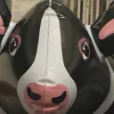 tenetdragon