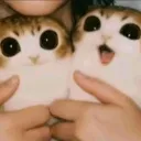 shkittleboi