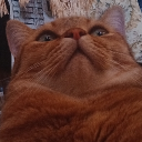 avatar EpicTheLeopard