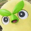 pfy0shy
