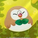 pfy0shy