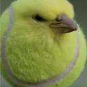 22trevor22 avatar