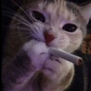 torturedxluv's Avatar