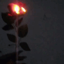 .elwan.