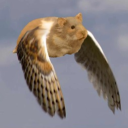 avatar Detective dale cooper