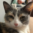 avatar 𓆩 SamarindoSpiko 𓆪