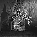 woef0
