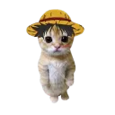 cat4tune