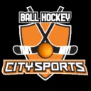 citysportsballhockey