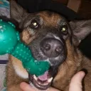 Аватар bledonys