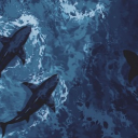 avatar ˚˖･ ఌ ♡ ˙⟡ ⋆˙ clueless⋆˙⟡♡ఌ˚˖･