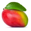 canmangosky