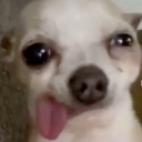 .crackkid#8978's avatar