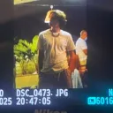 81fps