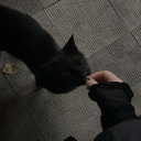 avatar ☆𝑵𝒆𝒍𝒍𝒚☆