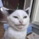 Аватар ymenyenetprav123