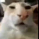 avatar Veipus