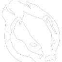 flashingbadgermike