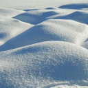 5002seniorofficerpaxton's Avatar