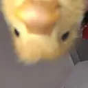 levrainaruto