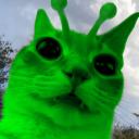 udnf