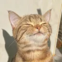 2mow