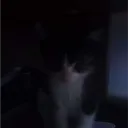 xyzxxyzxxyzxxyzx