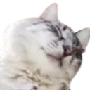 milou510